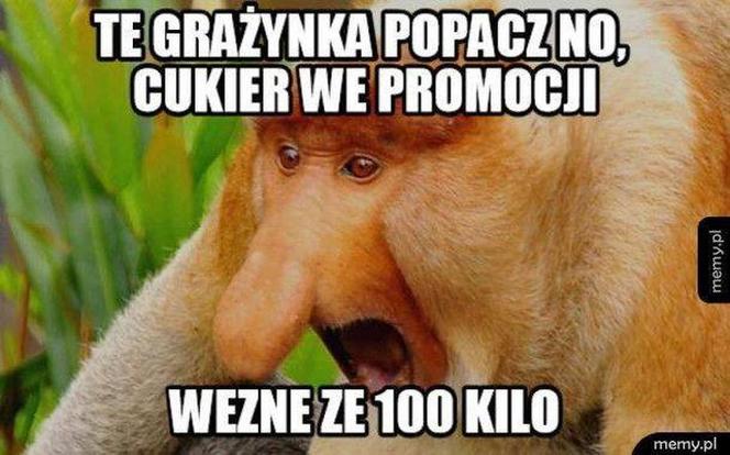 Black Friday memy