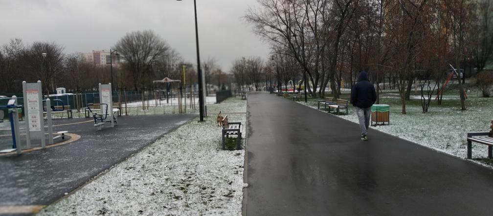 Pierwszy śnieg w Radomiu! Zobacz, jak rano wyglądało miasto