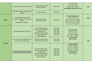 Boże Narodzenie 2022. Ceny choinek w nadleśnictwach RLDP w Białymstoku. Najtańsze drzewko kupimy za 12 złotych!