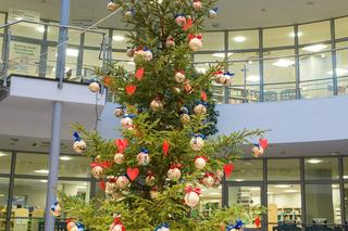 Tak wyglądały wszystkie choinki stworzone przez pracowników Biblioteki Uniwersyteckiej UWM w Olsztynie