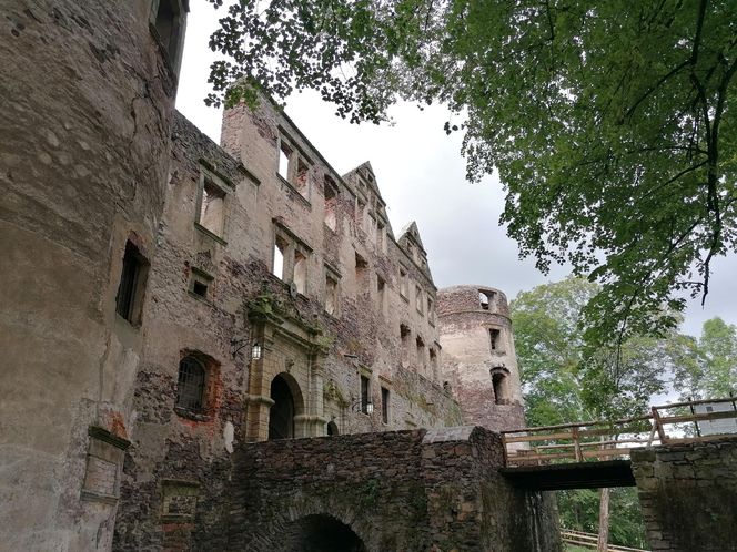 Zamek Świny