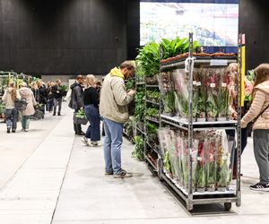 Festiwal Roślin Katowice 2025. Ceny już od 5 zł. Zobacz, jakie perełki można upolować w MCK!