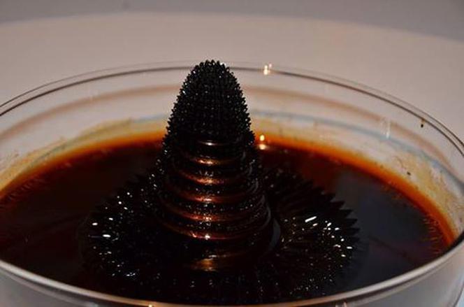 Tańczące igiełki, opiłki zmieniające kształt, a na dokładkę - tajemniczy ferrofluid. Jesienna ofensywa w Centrum Hewelianum