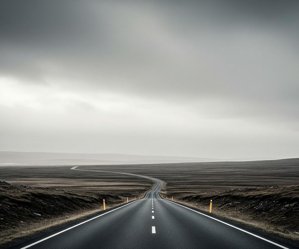 Asfaltowa droga biegnie prosto w głąb kadru, tworząc wyraźną perspektywę i niknie w oddali, gdzie delikatnie zakręca w prawo. Ma białe linie przerywane pośrodku oraz ciągłe białe linie na obu krawędziach, za którymi widać żółte słupki ostrzegawcze. Po obu stronach drogi rozciąga się surowy, brązowo-szary krajobraz, pokryty niską roślinnością i kamieniami, który stopniowo zlewa się z mglistym, jasnoszarym horyzontem. Niebo jest pochmurne, z dominującymi szarościami, jaśniejsze w dolnej części i ciemniejsze u góry, tworząc ponurą atmosferę.