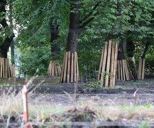 Rewitalizacja parku Bronowickiego w lublinie - postęp prac na koniec lipca 2025