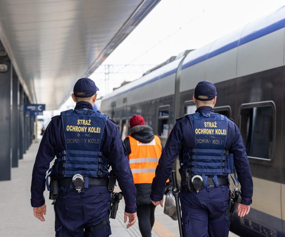 22-latka z fałszywą legitymacją w pociągu. Zatrzymała ją Straż Ochrony Kolei