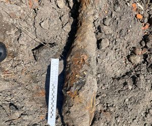 Saperzy interweniowali w centrum Tarnowa. Blisko 200 osób ewakuowanych