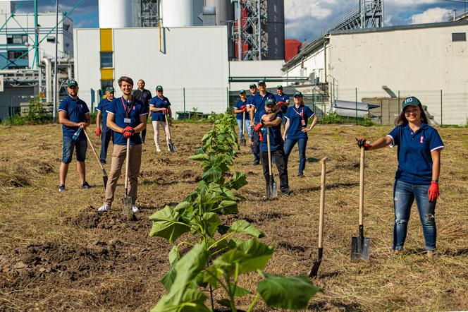 Arcyksiążęcy Browar w Żywcu sadzi drzewa tlenowe na terenie miasta. Pierwsze drzewa już na swoim miejscu