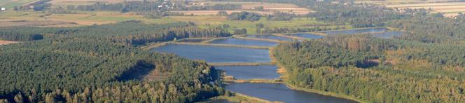 9. Tuliszków