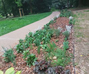 Park im. Szafera w Rzeszowie 