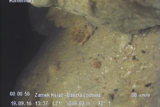 Średniowieczna studnia odkryta w Zamku Książ. To sensacja historyczna! [ZDJĘCIA]