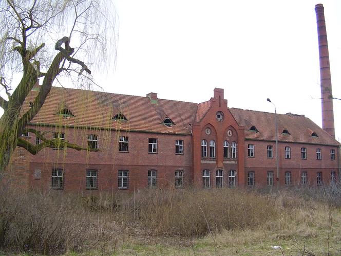 Wymordowany Zakład Psychiatryczny w miejscowości Owińska