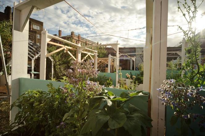 Przekierowanie, Urban Physic Garden