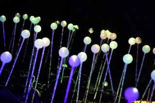  Lumina Park w Lublinie kończy sezon 2023/2024. Zobacz zdjęcia ze spaceru po parku iluminacji