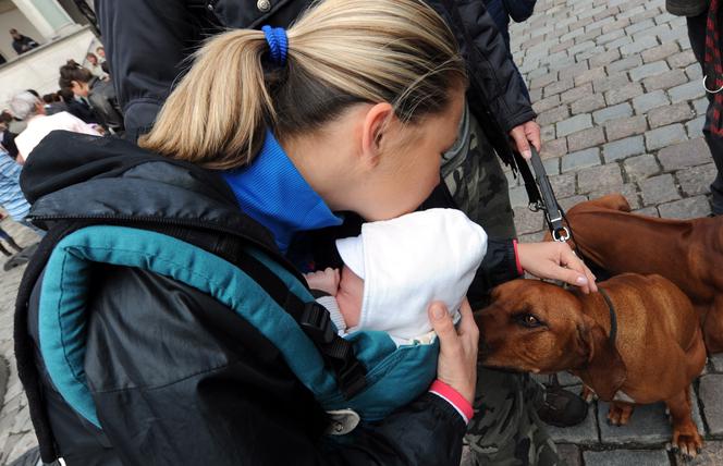 Katarzyna Bujakiewicz przykuła dziecko do budy