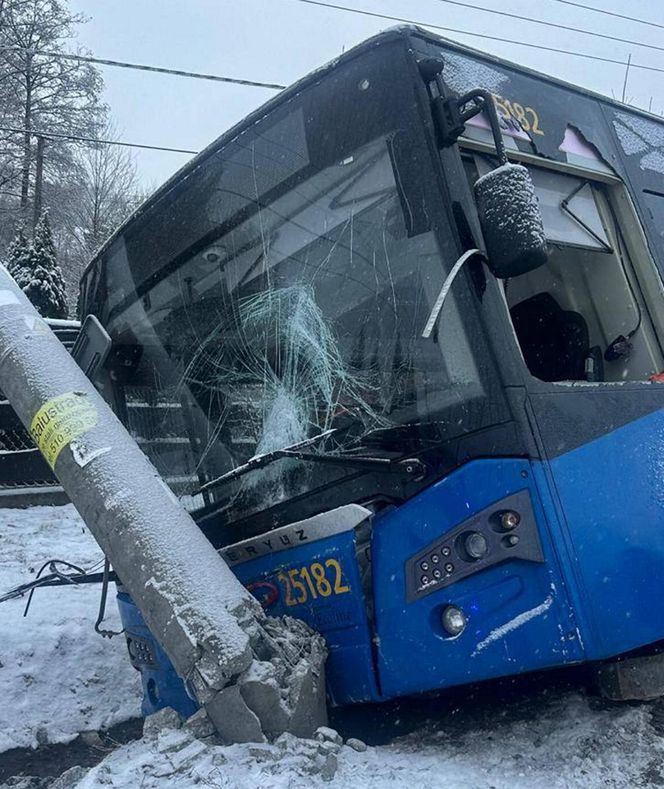 Pasażerowie przeżyli prawdziwe chwile grozy. Autobus zjechał do rowu i uderzył w słup!