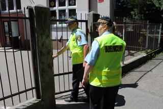 Bezpieczeństwo w liczbach. Sprawdziliśmy aktywność straży miejskiej w Toruniu