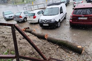 Tragedia w Zakopanem. 9-letni chłopiec zdążył przyjąć ostatnie namaszczenie