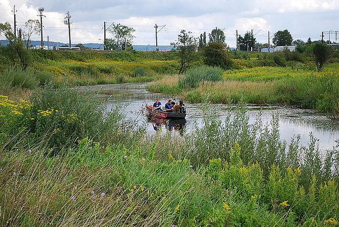 Psy z Berlina szukają zwłok mieszkanki Podkarpacia