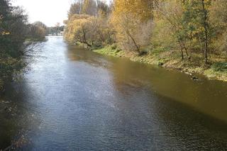 Najdłuższe rzeki w Polsce. Niektóre miejsca mogą zadziwić [GALERIA]
