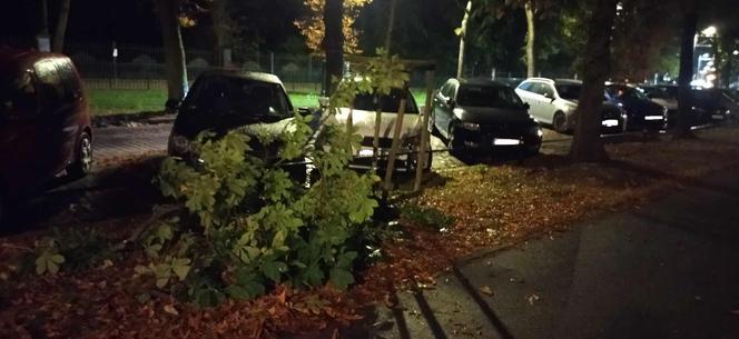 Silny wiatr w Toruniu. Kierowca samochodu miał dużo szczęścia