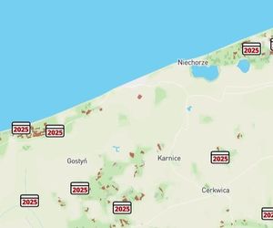 Mapa wycinki lasów 2025 - woj. zachodniopomorskie