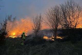 Pracowity weekend strażaków na Podkarpaciu. Wyjeżdżali do ponad 250 pożarów traw!