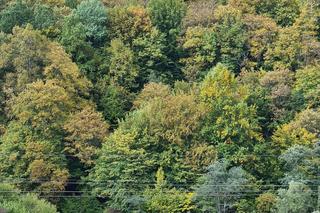 Jesień w Bieszczadach