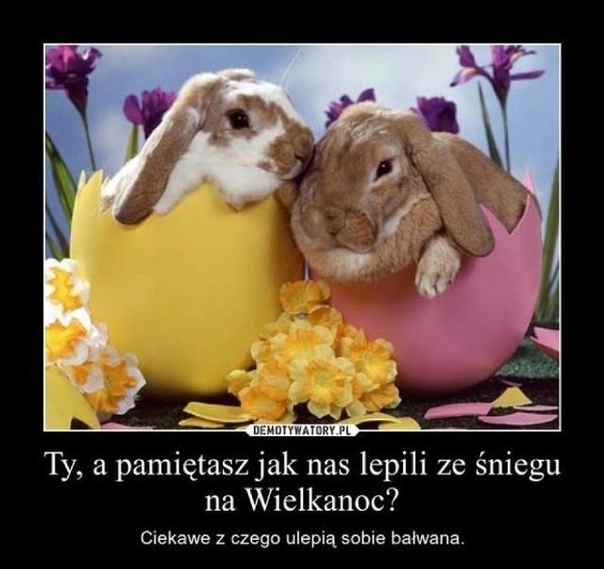 memy wielkanoc