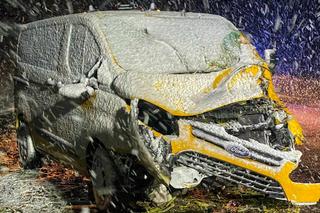 Bus wjechał w powalone drzewo w Lubuskiem