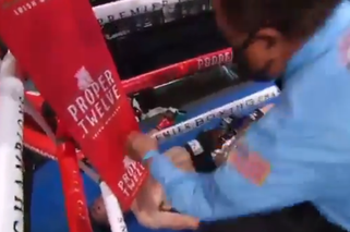 Brutalny nokaut w walce Gervonta Davis - Leo Santa Cruz