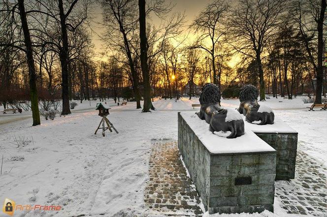 Gliwickie lwy przed Palmiarnią w parku Chopina