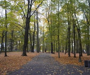 Park Lubomirskich w Białymstoku jesienią 