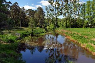 KAMPINOSKI PARK NARODOWY