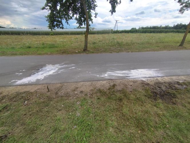 Ślady zbrodni na drodze, spalone ubrania ofiary spod Grójca. Sąsiedzi: "Myśleliśmy, że to mafijne porachunki"