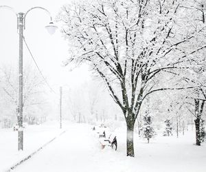 Zwrot akcji w prognozach na Boże Narodzenie?! Ekspert widzi światełko w tunelu
