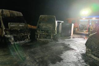 W Zalesiu aspłonęły busy. To mogło być podpalenie.