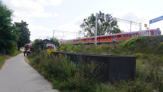 Zdemolowane rudery niemal w centrum Olsztyna. „Smród bywa podobno nie do zniesienia” [ZDJĘCIA]