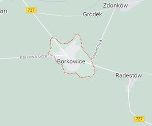 Borkowice