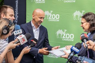Nowy mieszkaniec w śląskim zoo. Tygrys Tiber już zachwyca odwiedzających 