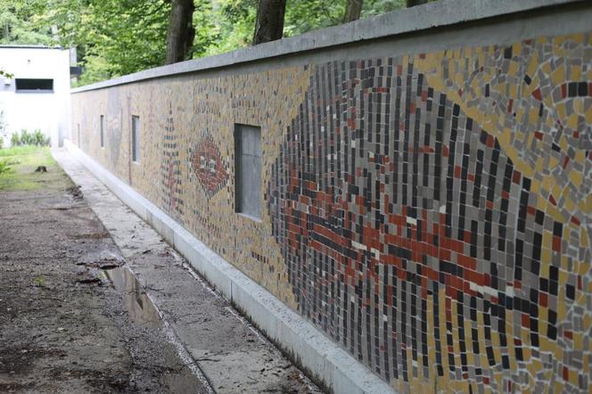 Budowa nowego pawilonu dla małp w krakowskim ZOO