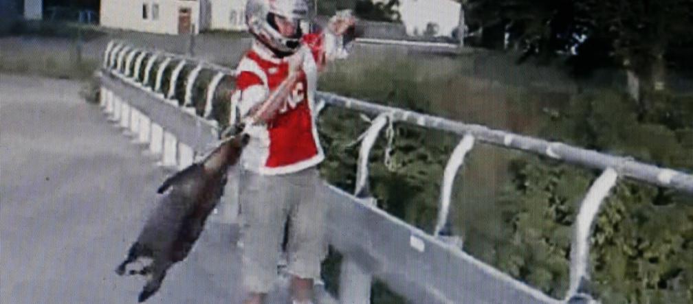 Tak oprawcy zakatowali zwierzątko