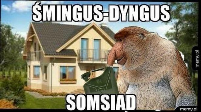 memy lany poniedziałek