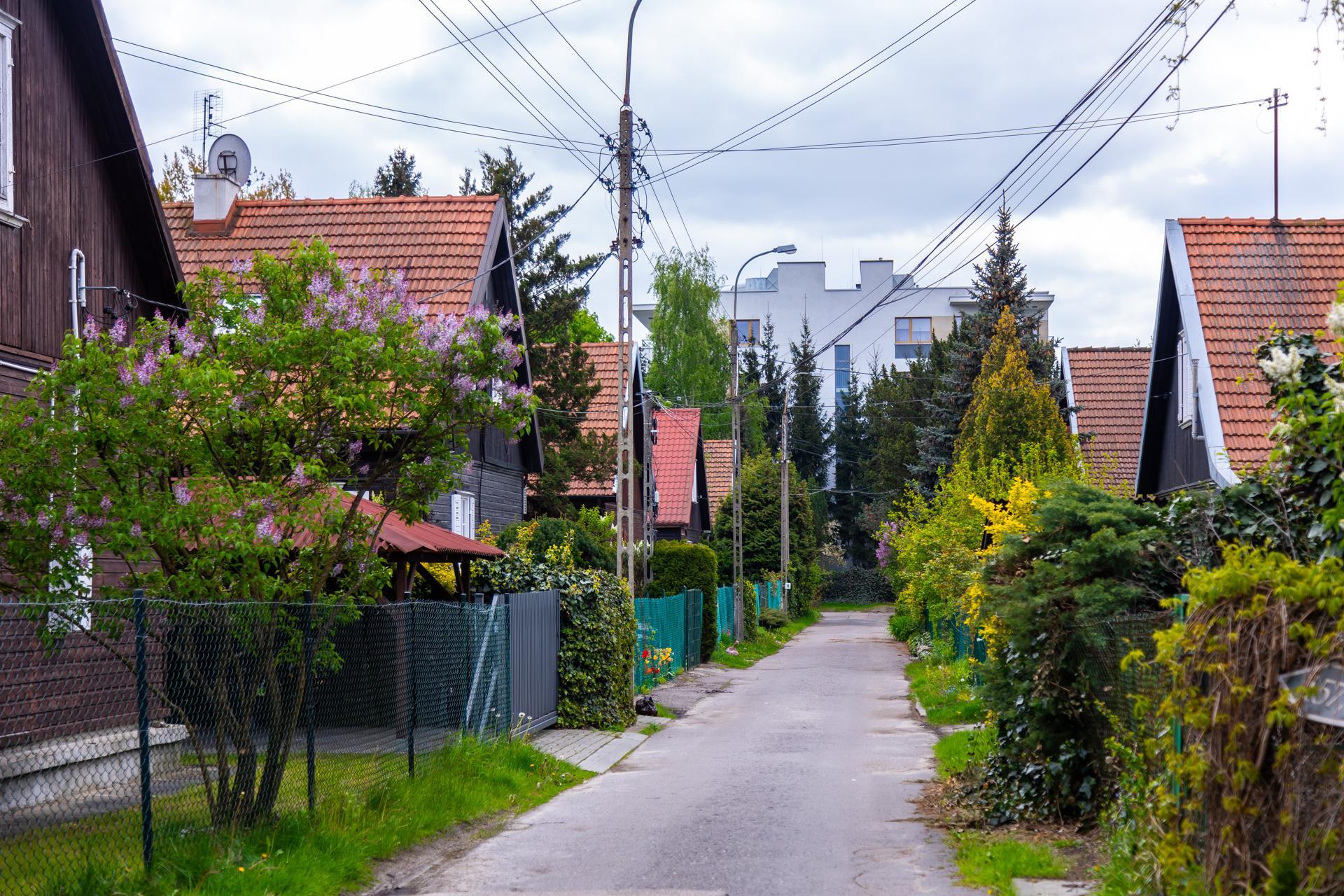 Osiedle "Przyjaźń" w Warszawie - zobacz zdjęcia drewnianej enklawy wśród zieleni