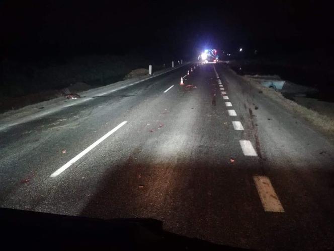 Samochód wjechał w stado dzików