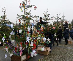 Świąteczny Rynek w Daleszycach