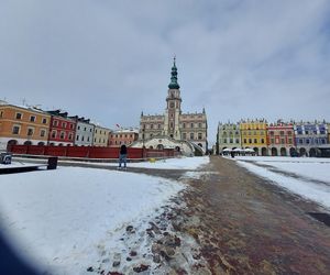 zamość