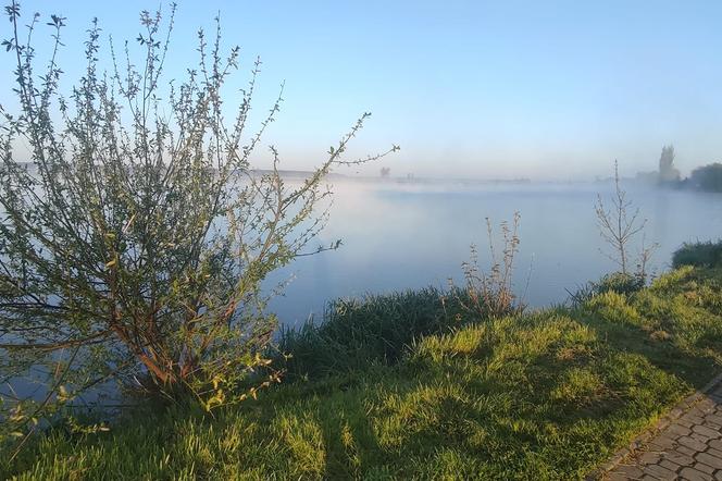 Jak dobrze znasz Ponidzie? Sprawdź swą wiedzę