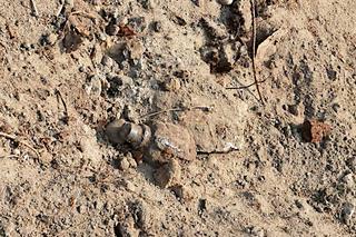 Bombowy czwartek w powiecie iławskim. Podejrzany pakunek w pociągu i niewybuch na polu