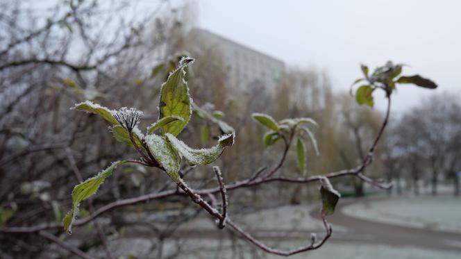 Prognoza pogody na Święta 2019